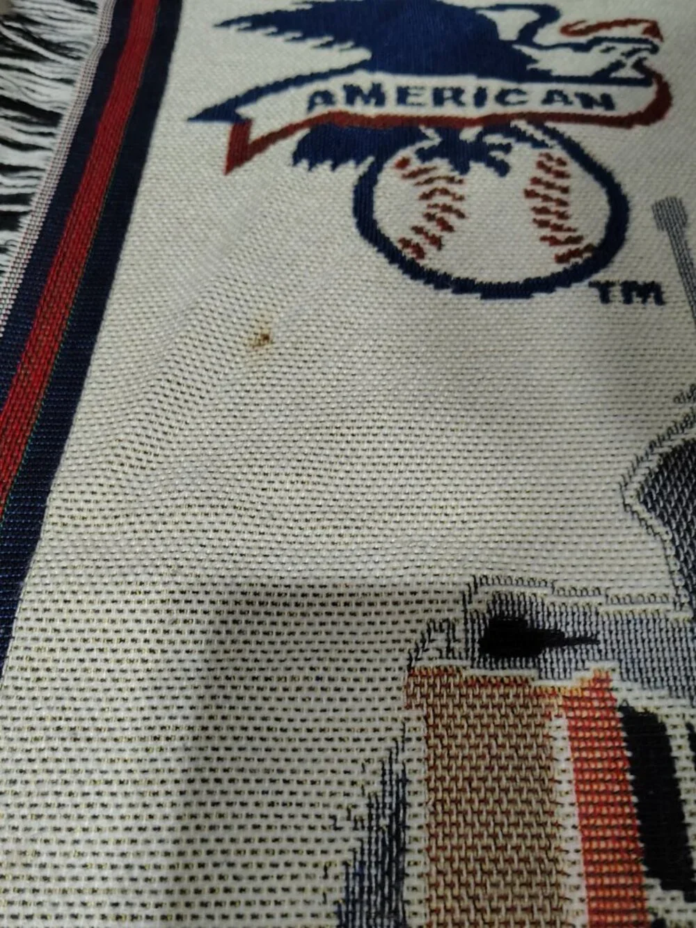 Cleveland Indians Jacobs Field Chief Wahoo Danbury Mint Tapestry Blanket 46x60